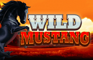 Wild Mustang